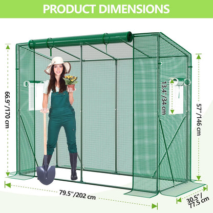 Plastic Portable Walk-in Greenhouse for Outdoor, Large Capacity Design, 79.5"L x 30.5"W x 66.9"H