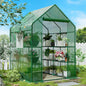 56×85×77Inch Walk-in Greenhouse with Thicken PE Cover and Steel Frame